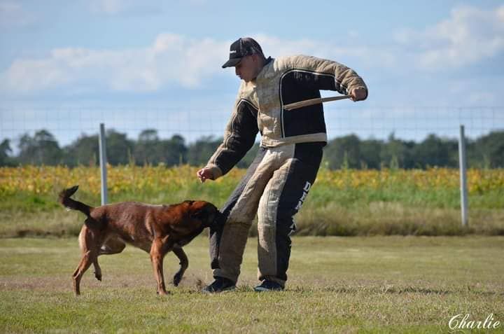 Lucky De La Tribu Des Plaines